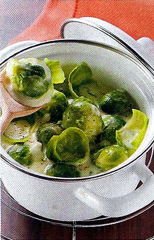 Bílá kapustičková polévka